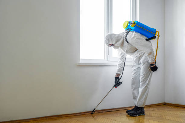 Pest Control for Restaurants in Dutch Island, GA